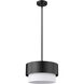 Counterpoint 1 Light 12 inch Matte Black Pendant Ceiling Light