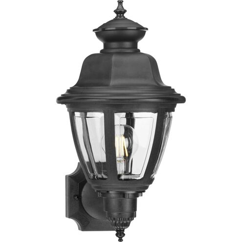 Non-Metallic 1 Light 16 inch Textured Black Outdoor Wall Lantern