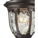 Glendale 1 Light 14 inch Regal Bronze Outdoor Wall Sconce