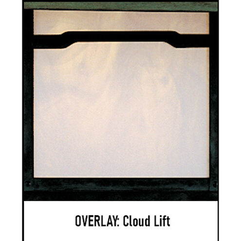Evergreen 12V 18 watt Satin Black Outdoor Landscape in Clear Seedy, Cloud Lift Overlay, Cloud Lift Overlay