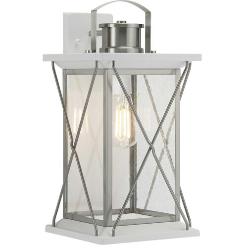 Barlowe 1 Light 19 inch Stainless Steel Outdoor Wall Lantern, Large