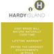 Hardy Island Atlantis 12v 1.50 watt Matte Bronze Landscape Path Light, Large