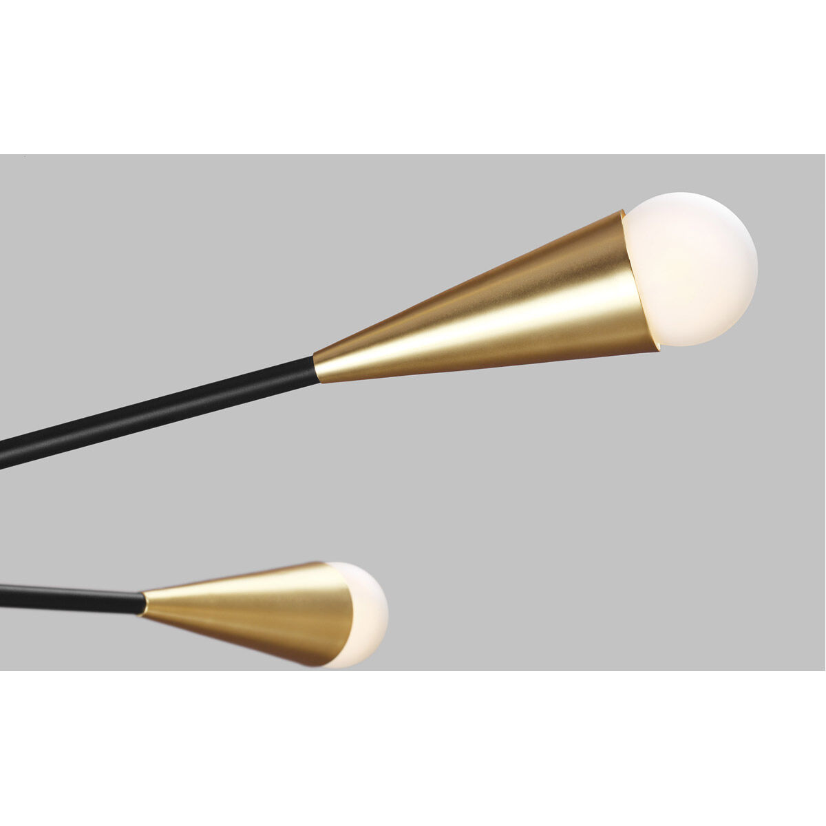 ED Ellen DeGeneres Jax 10 Light 27.25 inch Midnight Black Chandelier Ceiling Light