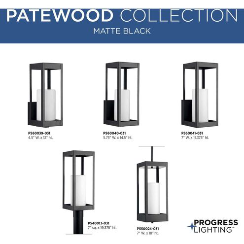 Patewood 1 Light 12 inch Matte Black Outdoor Wall Lantern, Small, Design Series