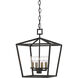 Denison 4 Light 12 inch Molé Black Lantern Pendant Ceiling Light, Small