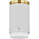 Asa 1 Light 4.75 inch Flush Mount