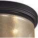 Diffusion 2 Light 13 inch Oil Rubbed Bronze Flush Mount Ceiling Light