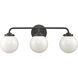 Fairbanks 3 Light 23.25 inch Matte Black Vanity Light Wall Light
