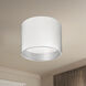 Mousinni LED 10 inch White Flush Mount Ceiling Light