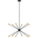 ED Ellen DeGeneres Jax 12 Light 38 inch Midnight Black Chandelier Ceiling Light
