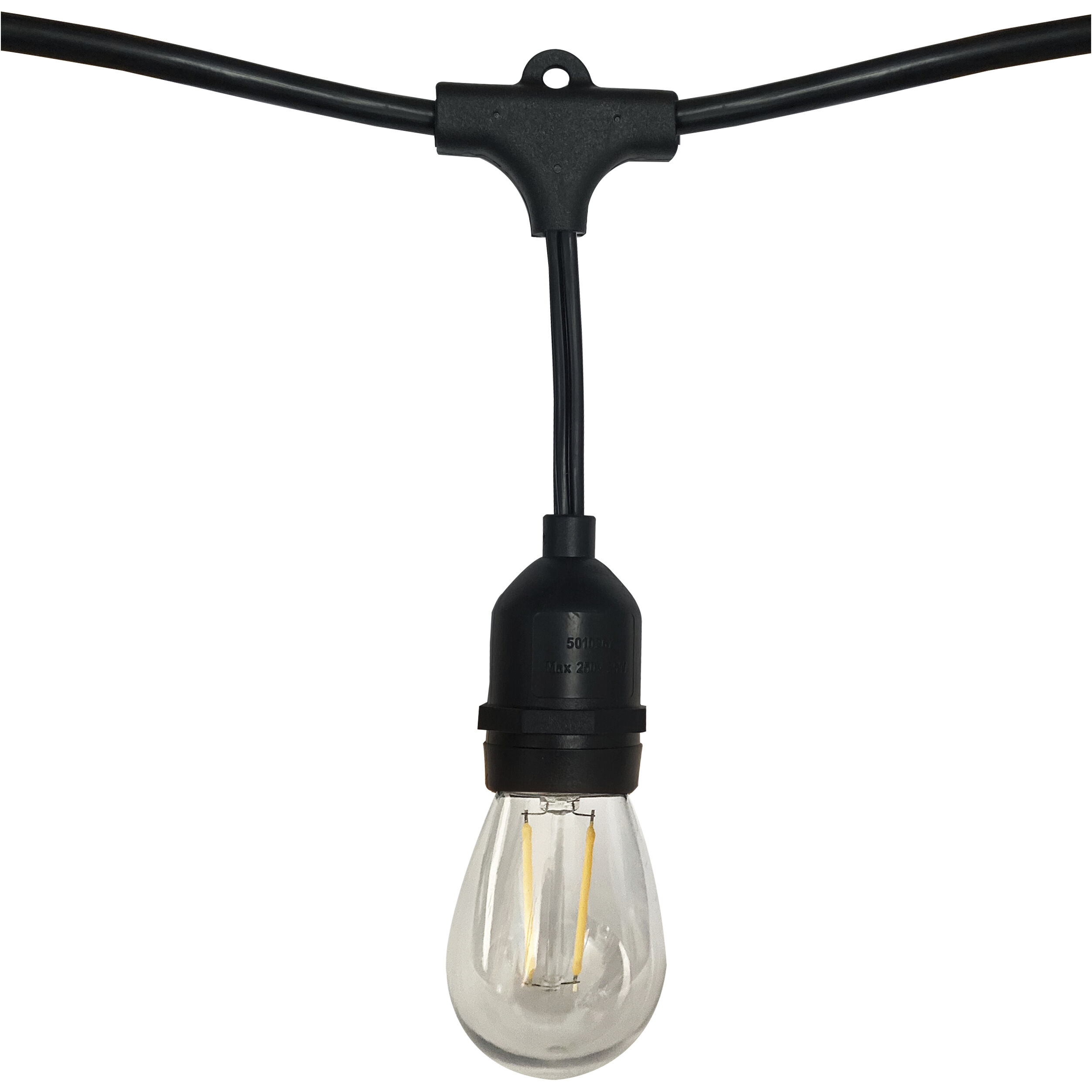 Edgewood 12 Light LED 24 foot Black LED String Light