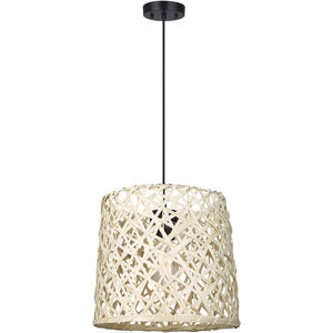 Tash 1 Light 13.25 inch Black Pendant Ceiling Light