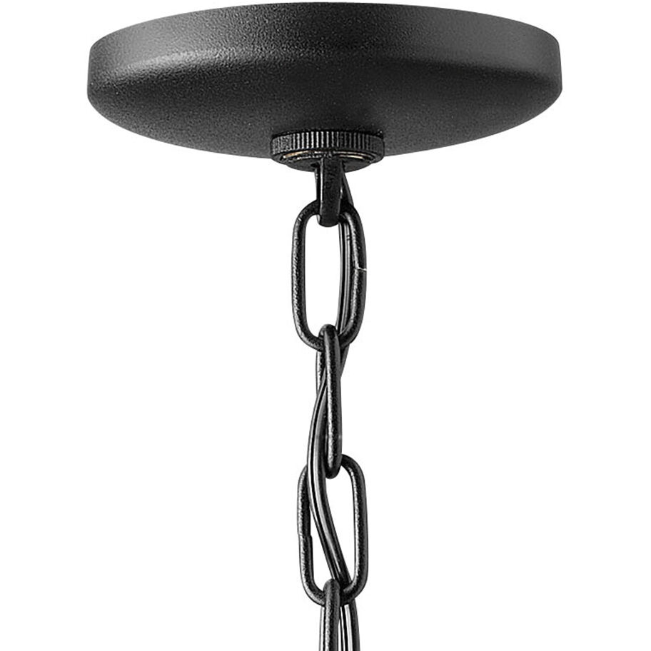 Estate Series Edgewater LED 10 inch Black Outdoor Hanging Lantern