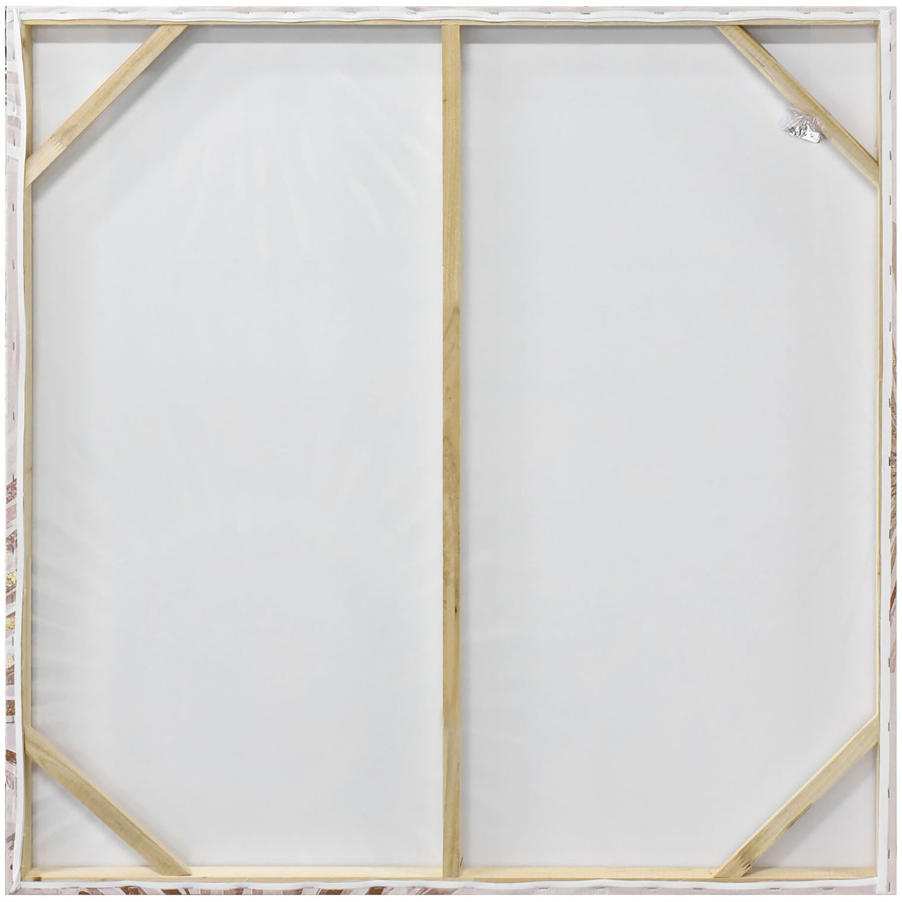 Nova Beige Wall Art, Smithsonian Collaboration