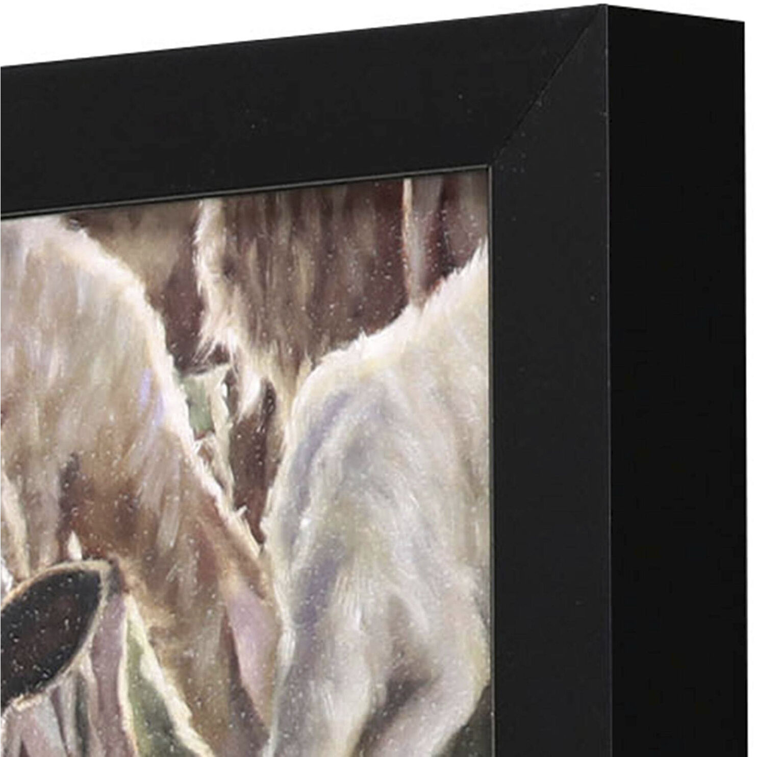 Animals 11 X 11 inch Non-Glass Framed Art, Propac
