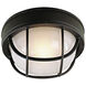 Bulkheads 1 Light 8 inch Textured Black Outdoor Flushmount in Textured Matte Black, Small