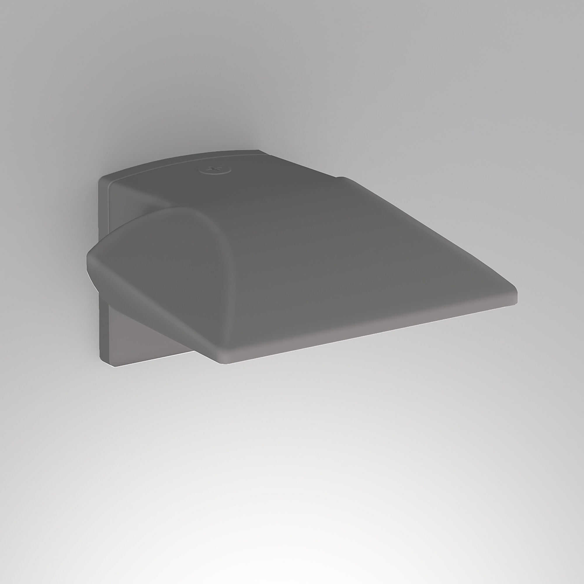 Endurance LED 4.38 inch Graphite Outdoor Wall Lighting, WAC Limited