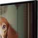 Animals Collection Flat Black Floater Frame Canvas