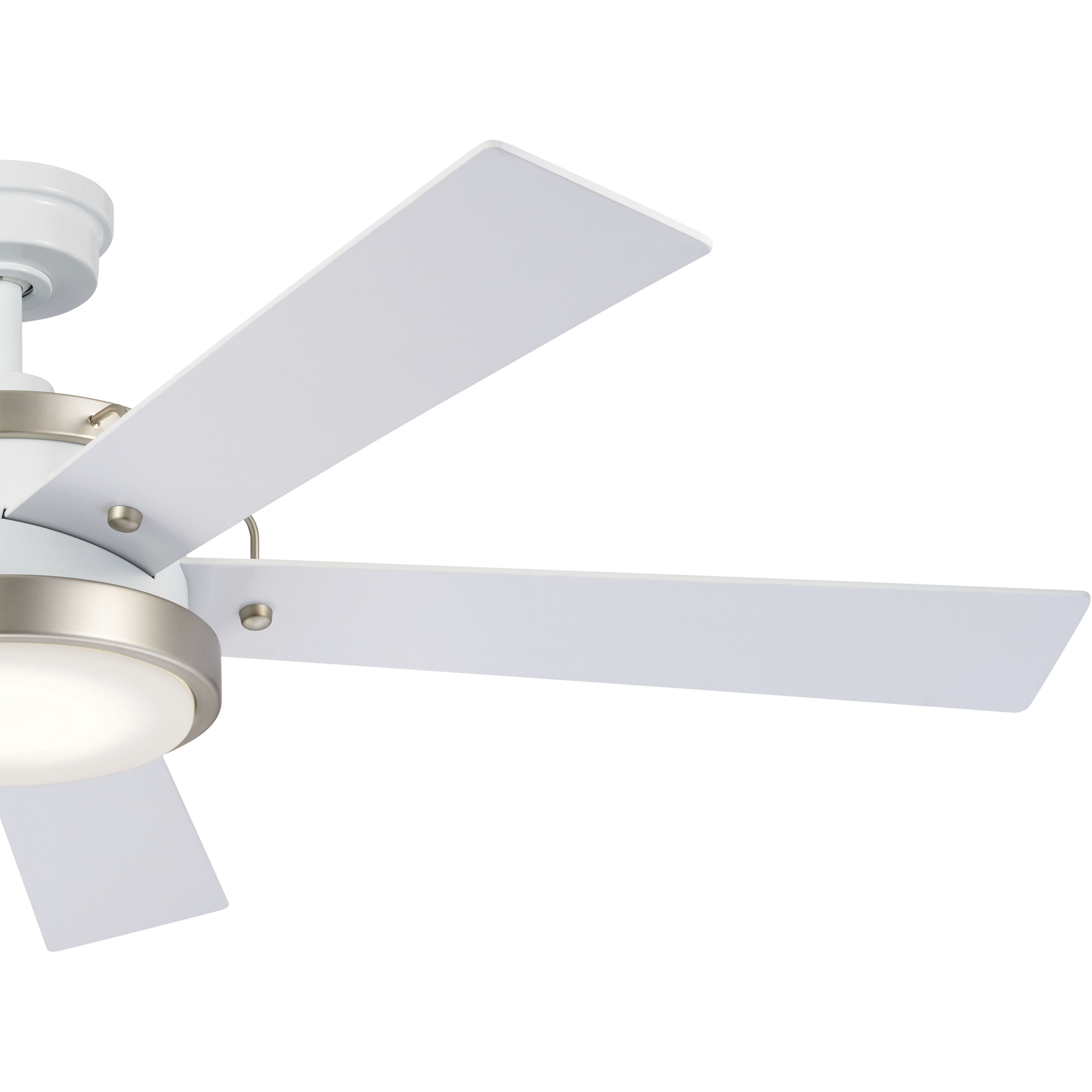 Salvo 56 inch White Ceiling Fan