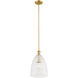 Transitional 1 Light 10 inch Natural Brass Pendant Ceiling Light