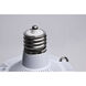 ColorQuick LED EX39 Mogul Extended 450 watt 3000K/4000K/5000K HID Replacements