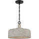 Farmhouse 1 Light 14 inch Weathered Gray with Black Pendant Ceiling Light