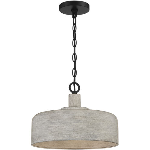 Farmhouse 1 Light 14 inch Weathered Gray with Black Pendant Ceiling Light