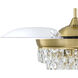 Sofia 42 inch Satin Brass with Clear Acrylic Blades Fan, Hidden Blades