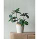 Girl Gray Planter