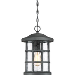 Crusade 1 Light 10 inch Earth Black Outdoor Hanging Lantern