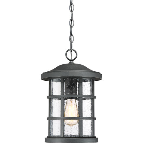 Crusade 1 Light 10 inch Earth Black Outdoor Hanging Lantern