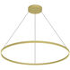 Cerchio Pendant Ceiling Light in Brushed Gold
