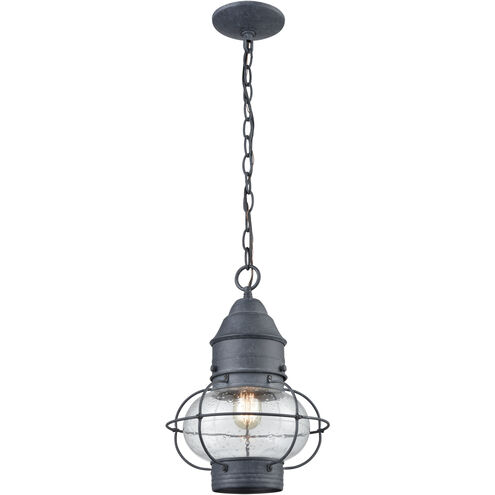 Onion 10 inch 60.00 watt Aged Zinc Outdoor Pendant