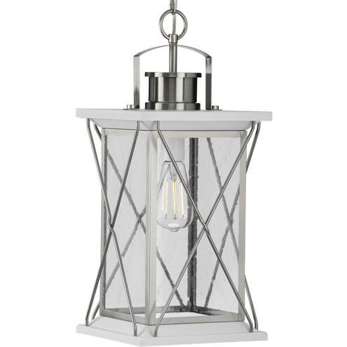 Barlowe 1 Light 9 inch Stainless Steel Outdoor Hanging Lantern