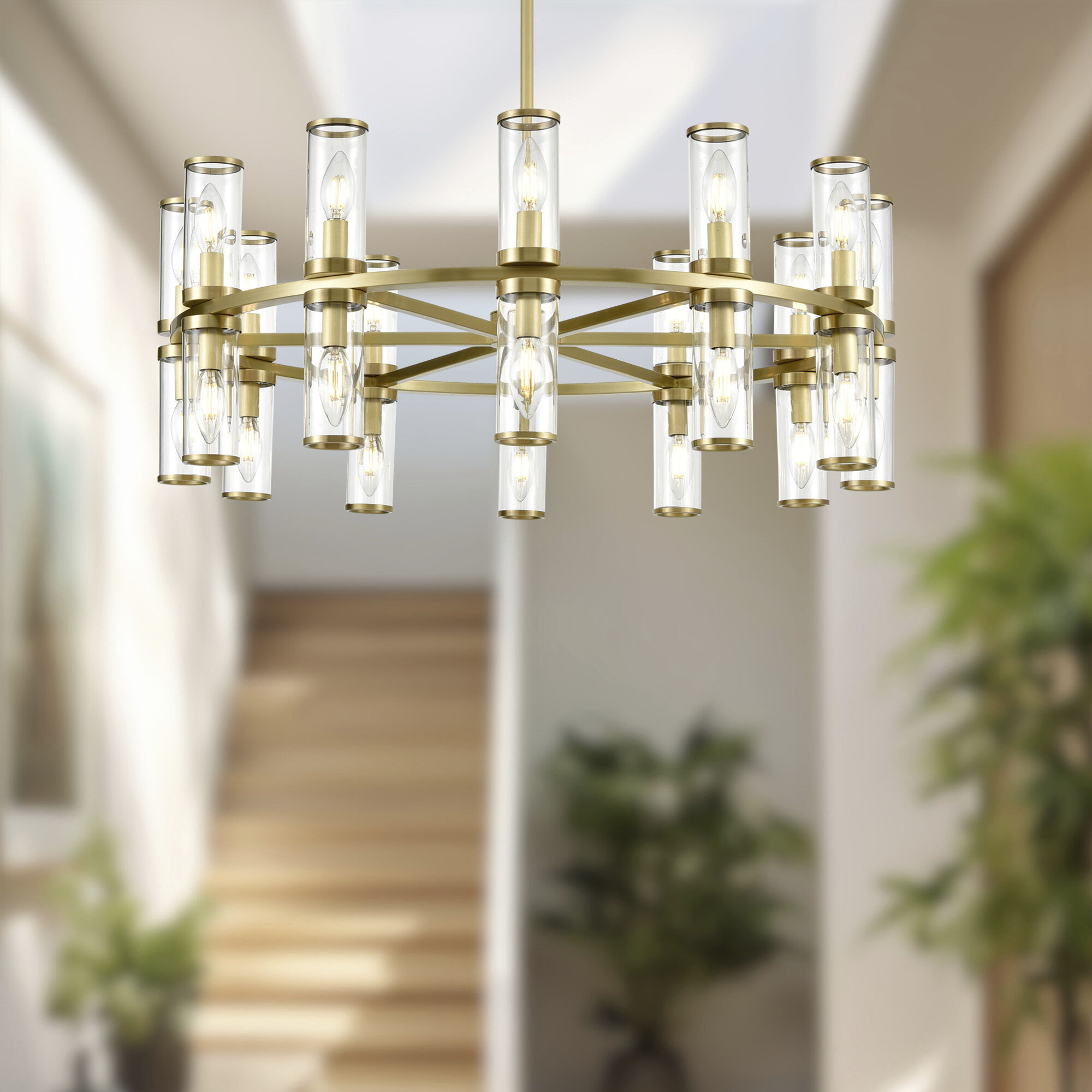Revolve 24 Light 32.75 inch Clear Glass/Natural Brass Chandelier Ceiling Light