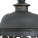 Whisper Dark Sky LED 25 inch Bronze Outdoor Wall Mount