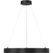 Conc LED 24 inch Coal Pendant Ceiling Light