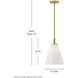 Honey 1 Light 11 inch Lacquered Brass Pendant Ceiling Light