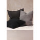 Ria 22 X 22 inch Black Peppercorn Pillow