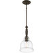 Chester 1 Light 8.5 inch Mesquite Pendant Ceiling Light