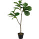 Potted Fiddle Leaf Tree Napoleon Bronze with Distressed Gold Leaf Faux Fiddle Leaf Tree