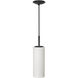 Paza 1 Light 4 inch Matte Black with White Pendant Ceiling Light