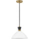 Simon 1 Light 13 inch Black with Heritage Brass Pendant Ceiling Light in Cased Opal