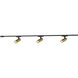Paolo 120 Brushed Gold Trilo Track Ceiling Light