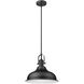 Virginia 1 Light 15 inch Matte Black Pendant Ceiling Light