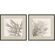 Naturals Collection Brown Framed Art