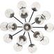Silvarious 16 Light Black Chandelier/Semi Flush Ceiling Light