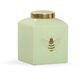 Shayla Copas 10 X 7 inch Ginger Jar