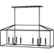 Perryton 8 Light 40 inch Midnight Black Linear Chandelier Ceiling Light
