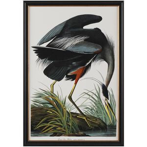 Audubon Collection Group 39 X 27 inch Giclee, III-B